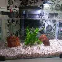 اکواریوم شیشه خم شرکتی با کلیه وسایل