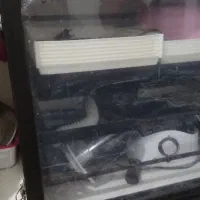 دستگاه جوجه کشی