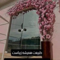 دکوراسیون داخلی|گل مصنوعی|مهاباد (آذربایجان غربی), |دیوار