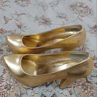 دو عدد کفش مجلسی و مشکی