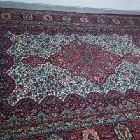 فرش دست باف|فرش|بوشهر, |دیوار