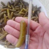 خیارشور تازه وبه قیمت مناسب سوپر نول ممتاز ویژه|خوردنی و آشامیدنی|شیروان (خراسان), |دیوار