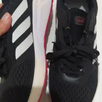 انواع کفش|کیف، کفش، کمربند|اردبیل, |دیوار