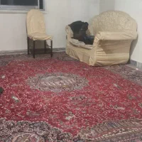 فرش ماشینی سالم|فرش|تهران, امام زاده عبدالله|دیوار