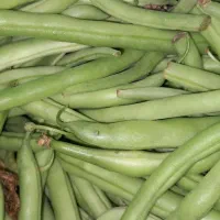 لوبیا سبز و فلفل تندوبادمجان وکدو تخم مرغ|خوردنی و آشامیدنی|بجنورد, |دیوار