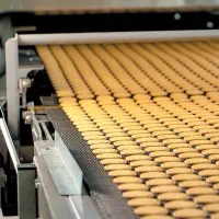 جذب نیرو|استخدام صنعتی، فنی، مهندسی|تربتحیدریه, رجایی|دیوار