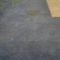 تریلیتراکتور|خودرو سنگین|باوی, |دیوار