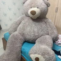 خرس بسیار بزرگ