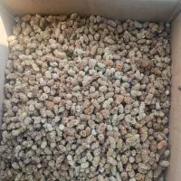 توت خشک درجه یک کردستان .فروش به صورت عمده|عمده‌فروشی|رشت, چله خانه|دیوار