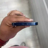 iPhone 12 mini آیفون ۱۲ مینی|موبایل|تهران, درختی|دیوار