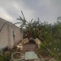 بنا هستم،بنایی|خدمات پیشه و مهارت|دزفول, |دیوار