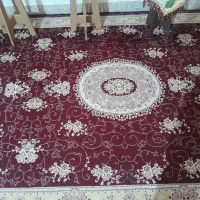 قالی|فرش|هرسین, |دیوار
