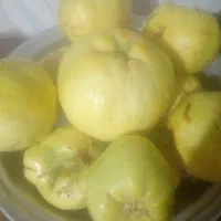 به فروشی