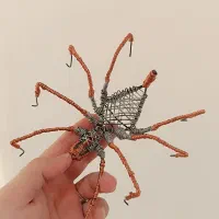 مجسمه سیمی رتیل|صنایع دستی و سایر لوازم تزئینی|محمدشهر, ولدآباد|دیوار