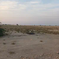 زمین|فروش دفتر صنعتی، کشاورزی، تجاری|چغادک, |دیوار