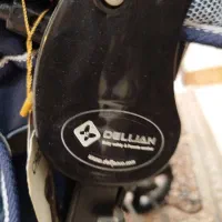 کالسکه دلیجان اصل