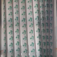 درب چوبی و پنجره آلیمینوم و پرده و غیره|مصالح و تجهیزات ساختمان|شوط, |دیوار