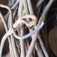 کابل3در25تمام مس|ابزارآلات|شیراز, داریون|دیوار