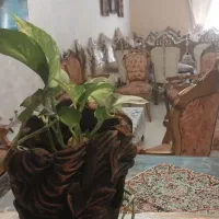مبلمان استیل طلایی شیک و ظریف|مبلمان خانگی و میز عسلی|شیراز, خلدبرین|دیوار