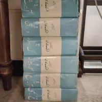 فرهنگ شش جلدی معین