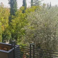 300-متر-جمهوری-با-پروانه-ساخت
