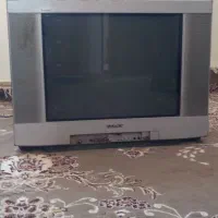 تلویزیون