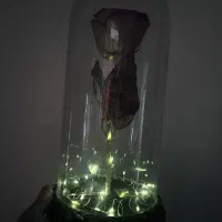 اباژور  شیشه ای رز