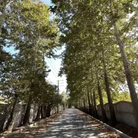 دهکده-ورزشی-چهارباغ-همنوش1150-متر-سند-دار
