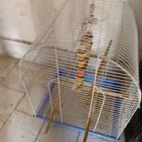 دو عدد  قفس  پرنده