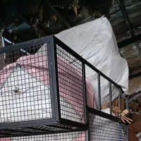 خریدار کارتن