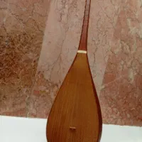 دوتار حرفه ای