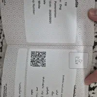 سگ پامرخرسی|سگ|اصفهان, عمان سامانی|دیوار