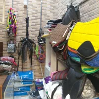 تجهیزات سوارکاری|اسب و تجهیزات اسبسواری|تهران, فتح|دیوار