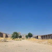 نیازمند کارگر مرغداری باتجربه