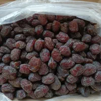 خرما مُرداسَنگ پیچیده، خاصوئی ،خنیزی و کلوته|خوردنی و آشامیدنی|بندرعباس, |دیوار