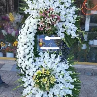 بزرگترین مرکز پخش تاج گل