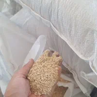 دان تخم گذار مخصوص تخم گذار