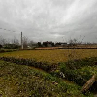 فروش زمین کشاورزی