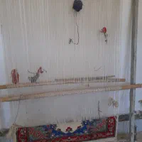 دار قالی با تجهیزات ثـ کامل