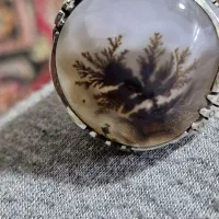 شجر|بدلیجات|اراک, |دیوار