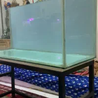 اکواریوم بزرگ شیشه ده میل