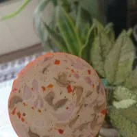 ساندویج باسوسیس ،کالباس و ژامبون خانگی و دست ساز|خوردنی و آشامیدنی|تهران, آهنگ|دیوار