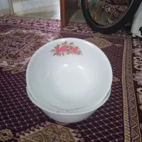 دوعدد کاسه وچراغ مطالعه وجاروشارژی