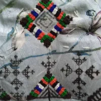 دوچگرکپنال واینه وسرتوپ