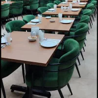 صندلی پلانترو کافه رستورانی مهماندوست فلز پلاستیکی