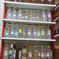 ارگانیک سرا|خوردنی و آشامیدنی|شیراز, گلستان|دیوار