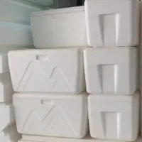 یخدان کلمنداکاسیو کلمن یخچال