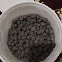 بمب انرژی گل