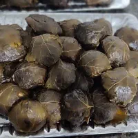 دلمه برگ مو شیرین و ترش و ملس|خوردنی و آشامیدنی|اصفهان, کارلادان|دیوار