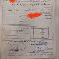 گواهی اسقاط